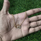 Women's Dual Heart Pendant with Chain Micro Plating